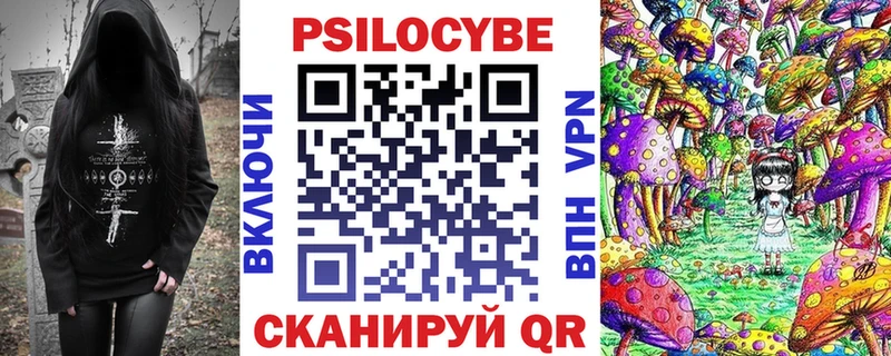 hydra зеркало  где продают наркотики  Пошехонье  Псилоцибиновые грибы Magic Shrooms 
