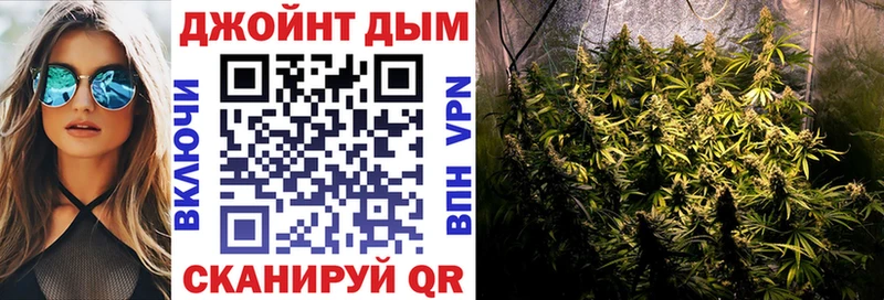 закладка  Пошехонье  Каннабис семена 